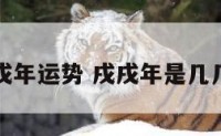 戍戌年运势 戌戌年是几几年