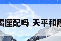 天平座与摩羯座配吗 天平和摩羯座合不合