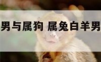 属兔白羊座男与属狗 属兔白羊男和属兔白羊女