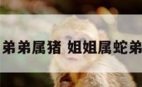 姐姐属蛇与弟弟属猪 姐姐属蛇弟弟属鼠好吗