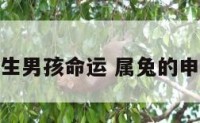 属兔申时出生男孩命运 属兔的申时生的女孩