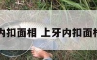 上牙内扣面相 上牙内扣面相图片