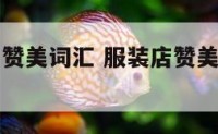 对服装店的赞美词汇 服装店赞美优雅女人的话
