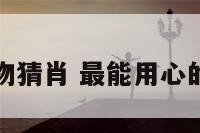 最用心的动物猜肖 最能用心的动物猜生肖