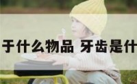 牙齿属于什么物品 牙齿是什么属性