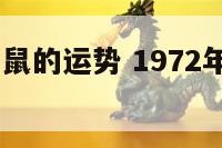 1972年属鼠的运势 1972年的鼠的运势