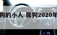 怎样防属狗的小人 属狗2020年防小人戴什么