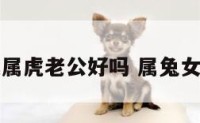 女属兔找属虎老公好吗 属兔女婚配属虎