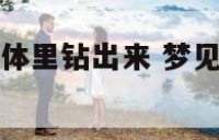 梦见有虫从身体里钻出来 梦见有虫往身体里钻