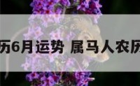 生肖马农历6月运势 属马人农历六月运势