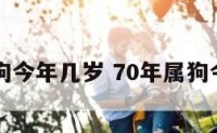 70年属狗今年几岁 70年属狗今年多大