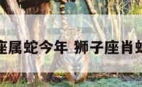 狮子座属蛇今年 狮子座肖蛇运势