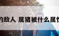 属猪的敌人 属猪被什么属性克制