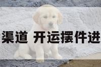 开运摆件进货渠道 开运摆件进货渠道是什么