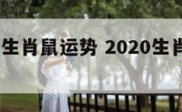 2020年生肖鼠运势 2020生肖鼠运势大解析