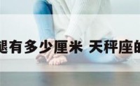 天秤座的腿有多少厘米 天秤座的腿有多长