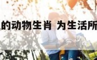 为生活所迫的动物生肖 为生活所迫的经典图片