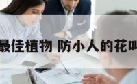 防小人的最佳植物 防小人的花叫什么名字
