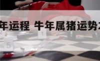 属牛逢猪年运程 牛年属猪运势2021年运势12生肖