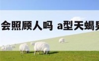 a型天蝎男会照顾人吗 a型天蝎男爱上一个人