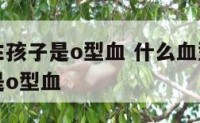 什么血型生孩子是o型血 什么血型的血生出来的孩子是o型血