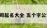 5个字的公司起名大全 五个字公司起名大全
