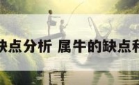 属牛缺点分析 属牛的缺点和优点