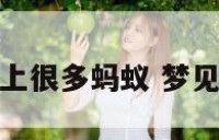 梦见客厅地上很多蚂蚁 梦见客厅有蚂蚁
