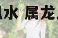 属龙人的办公室风水 属龙人的办公室风水怎么样