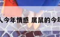 属鼠人今年情感 属鼠的今年感情