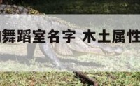 木土属性的舞蹈室名字 木土属性的舞蹈室名字怎么取