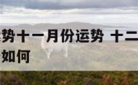 十二星座运势十一月份运势 十二星座运势十一月份运势如何