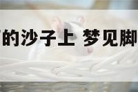 梦见脚踩客厅的沙子上 梦见脚踩沙子是什么意思