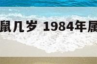 1984属鼠几岁 1984年属鼠2021多少岁