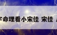八字命理看小宋佳 宋佳 八字