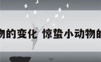 惊蛰小动物的变化 惊蛰小动物的变化过程