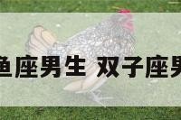 双子座双鱼座男生 双子座男双鱼座男