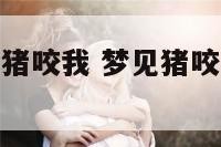 周公解梦梦见猪咬我 梦见猪咬我是什么意思?