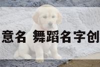 舞蹈创意名 舞蹈名字创意好听