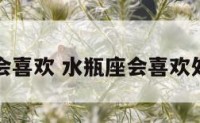 水瓶座会喜欢 水瓶座会喜欢处女座吗