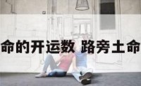 路旁土命的开运数 路旁土命的财运
