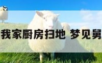 梦见舅舅在我家厨房扫地 梦见舅舅打扫卫生