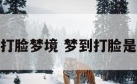 梦见关于打脸梦境 梦到打脸是什么意思