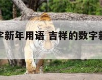 吉祥的数字新年用语 吉祥的数字新年用语是什么