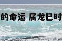 属龙巳时出生的命运 属龙巳时出生的男孩什么命