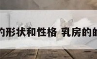 乳房的形状和性格 乳房的的形状