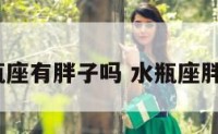 水瓶座有胖子吗 水瓶座胖吗?