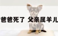 我属羊对象爸爸死了 父亲属羊儿子属羊好吗