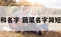 蔬菜和名字 蔬菜名字简短好听