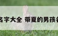 带夏男孩名字大全 带夏的男孩名字洋气的